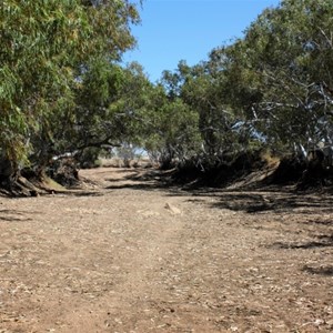 Dried out Rudall River                                          