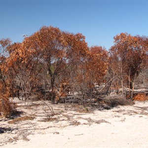 Fire aftermath April 2010