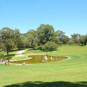 Kings Park