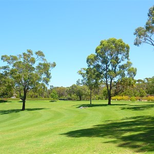 Kings Park