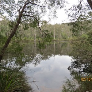 Shannon Dam