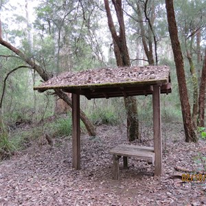 Leaf litter