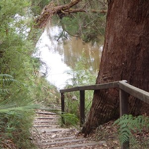 Walpole-Nornalup National Park