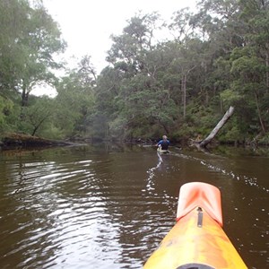 Walpole-Nornalup National Park