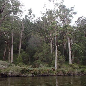 Walpole-Nornalup National Park