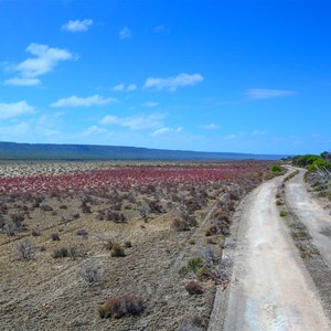 Nuytsland Nature Reserve