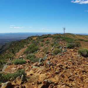 Summit Mt Caernarvon