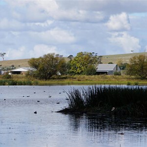 Dangars Lagoon