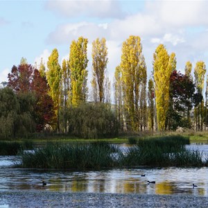 Dangars Lagoon