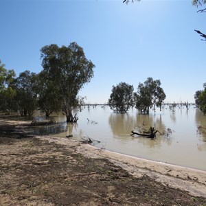 Sandy beach with a few snags -  Sept 2020