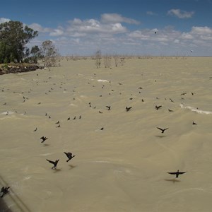 In a howling gale, lake full