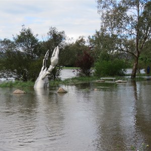 The big Yabby