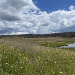 Three Mile Dam Campsite