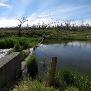 Spillway and staff gauge