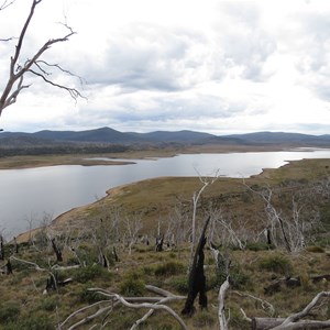 2003 fire damage on Pockets Saddle Rd