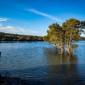 Narrawallee Creek