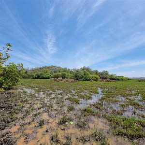 Red Lily Lagoon