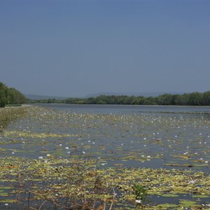 Lomarieum Lagoon