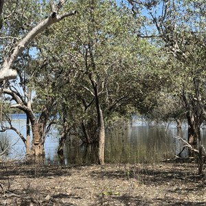 Nawarlbur Waterhole