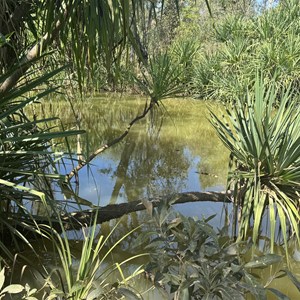 Wirriyamurrya Waterhole
