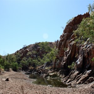 Whistleduck Waterhole