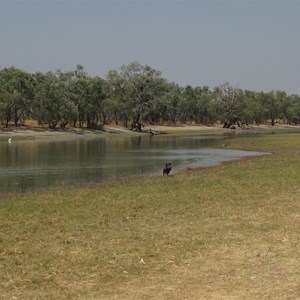 Green and serene