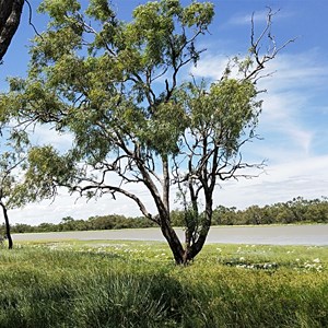 Lake Canellan