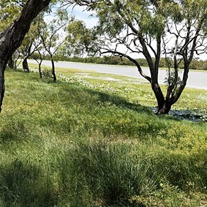 Lake Canellan