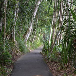 Lake Eacham