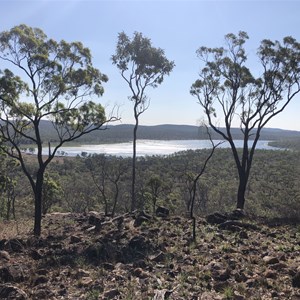 Emu Swamp