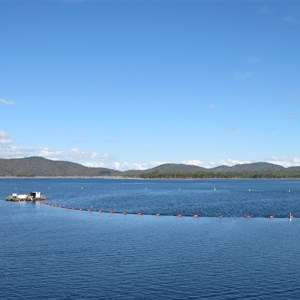 Pumping pontoon