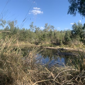 Lotus Creek