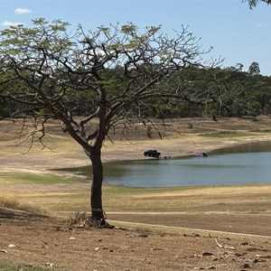 Lake Maraboon