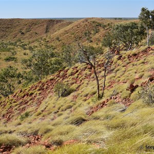 Wolfe Creek Meteorite Crater