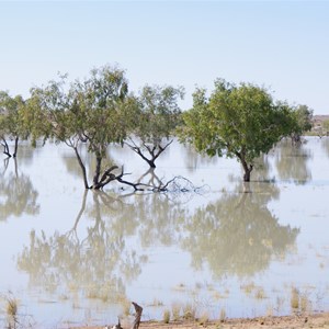 West Dickerrie Waterhole