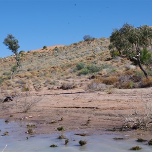 Lake Nappanerica