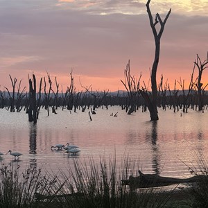 Lake Nuga Nuga