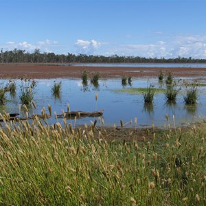 Lakeside view