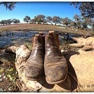 The Lake Quilpie