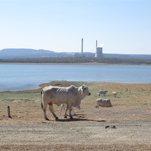 Foreshore