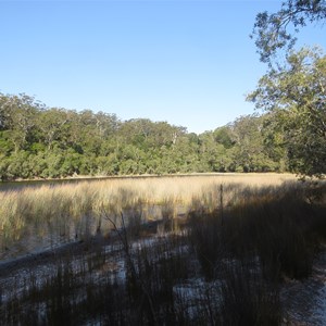 Track beside lake