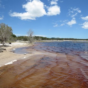 Plenty of tannins staining the water