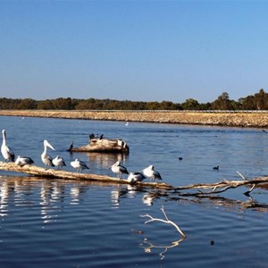 The retaining wall at Lake Coolmunda