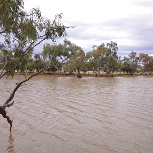 Eringa Waterhole