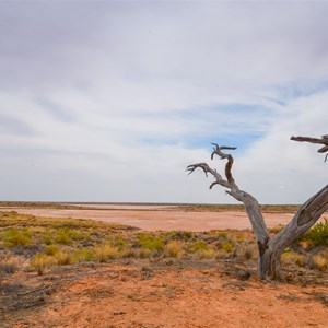 Lake Tamblyn SA