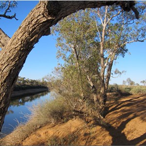 Algebuckina Waterhole