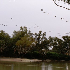 Bourke's Waterhole