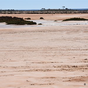Lake Ifould