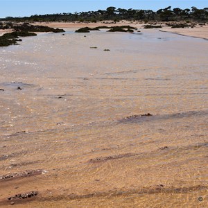 Lake Ifould