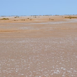 Lake Torrens 